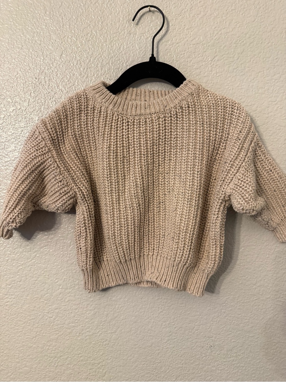 Relaxed Crewneck Cropped Sweater in Beige